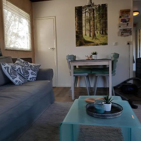 Chalet Gaasterland Bos-Ijsselmeer 4 Pers. Rijs Εξωτερικό φωτογραφία
